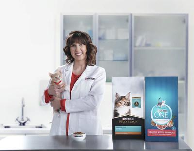 How Long Is Your Cat A Kitten? New Survey Shows A Majority of Kitten Owners Are Divided On The Answer