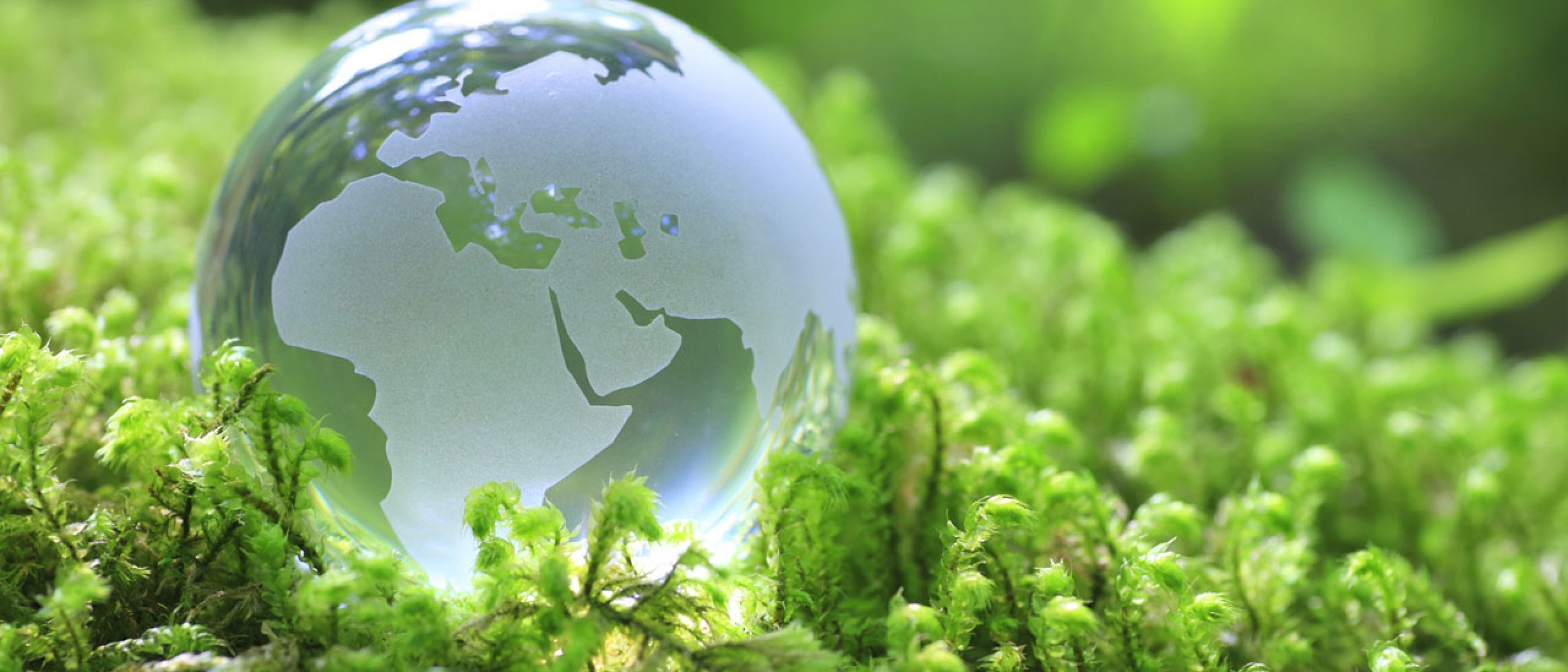 Why consumers get suckered by greenwashing